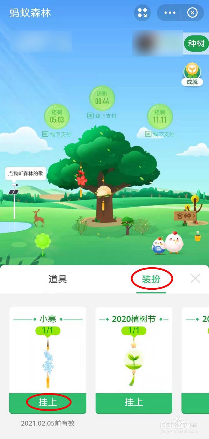支付宝蚂蚁森林的小寒挂件如何获取
