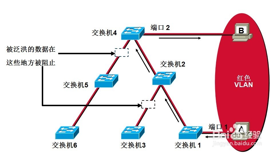CCNA：[14]VLAN的实现