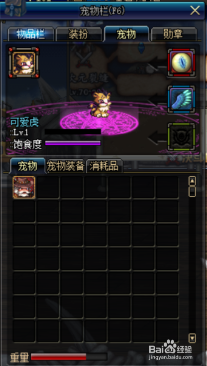 DNF特工BUFF换装