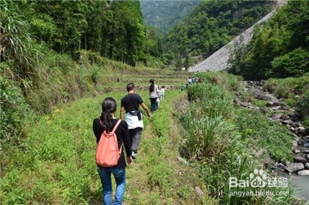户外徒步旅行怎么避免野兽