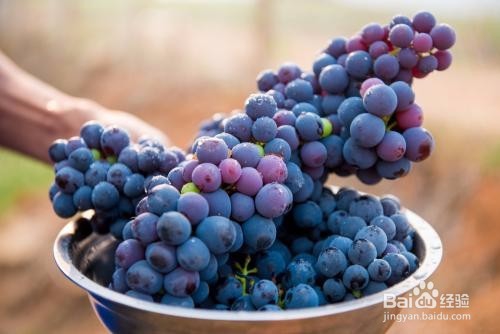 吃葡萄皮都有啥好处