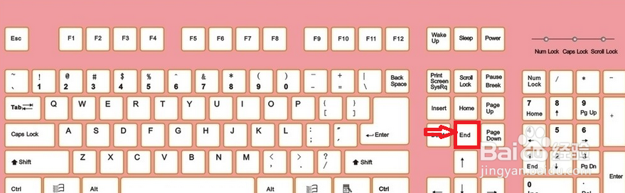 百度中的经验如何进行投票