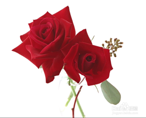 教你一招PS抠图小技巧