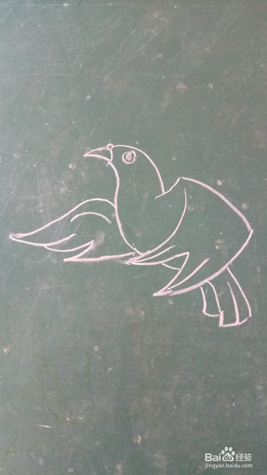 儿童简笔画鸽子的画法