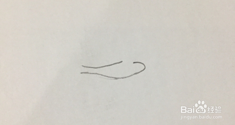 小鸟的画法简笔画