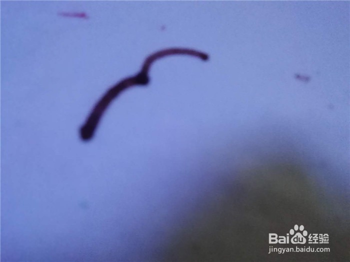 怎么样用简笔画画鹦鹉