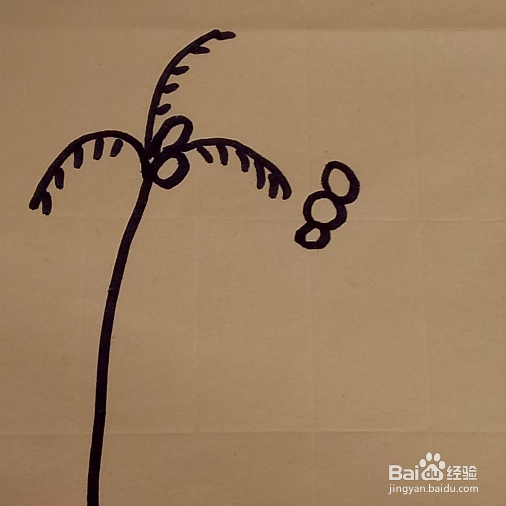 海边的椰子树幼儿线条简单绘画