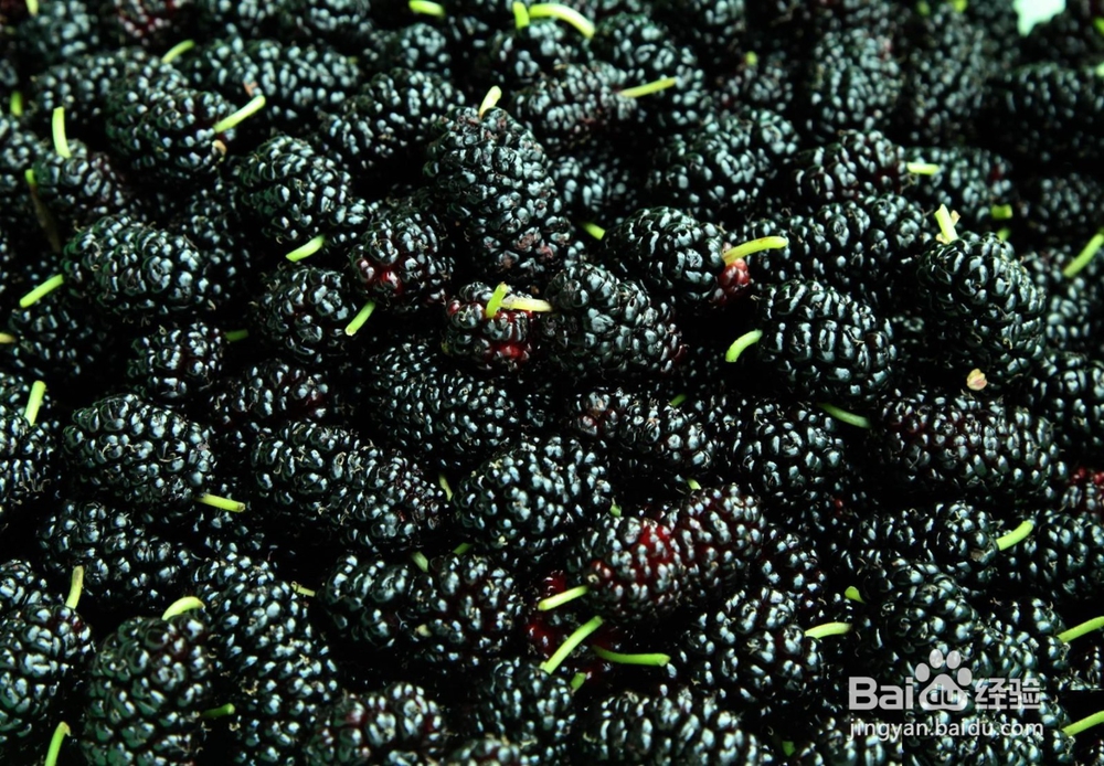 黄精桑葚泡酒的做法