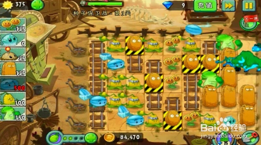 植物大战僵尸2狂野西部种子保卫战第3天获星过关