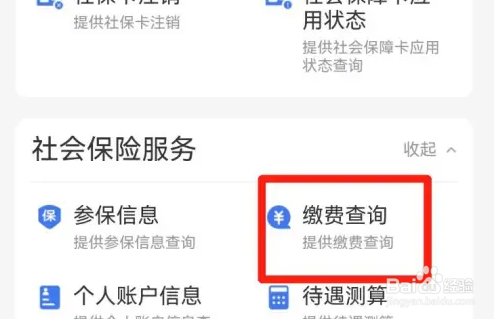 闽政通查询社保缴纳明细步骤