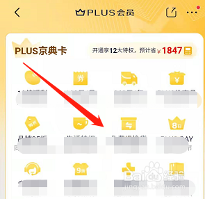手机京东如何查看PLUS会员的详细信息？