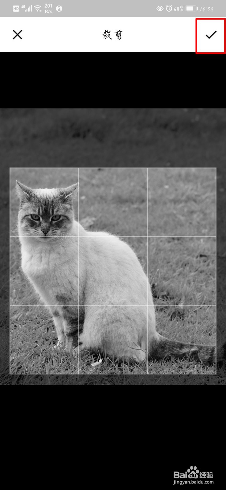 在手机上怎么裁剪图片?
