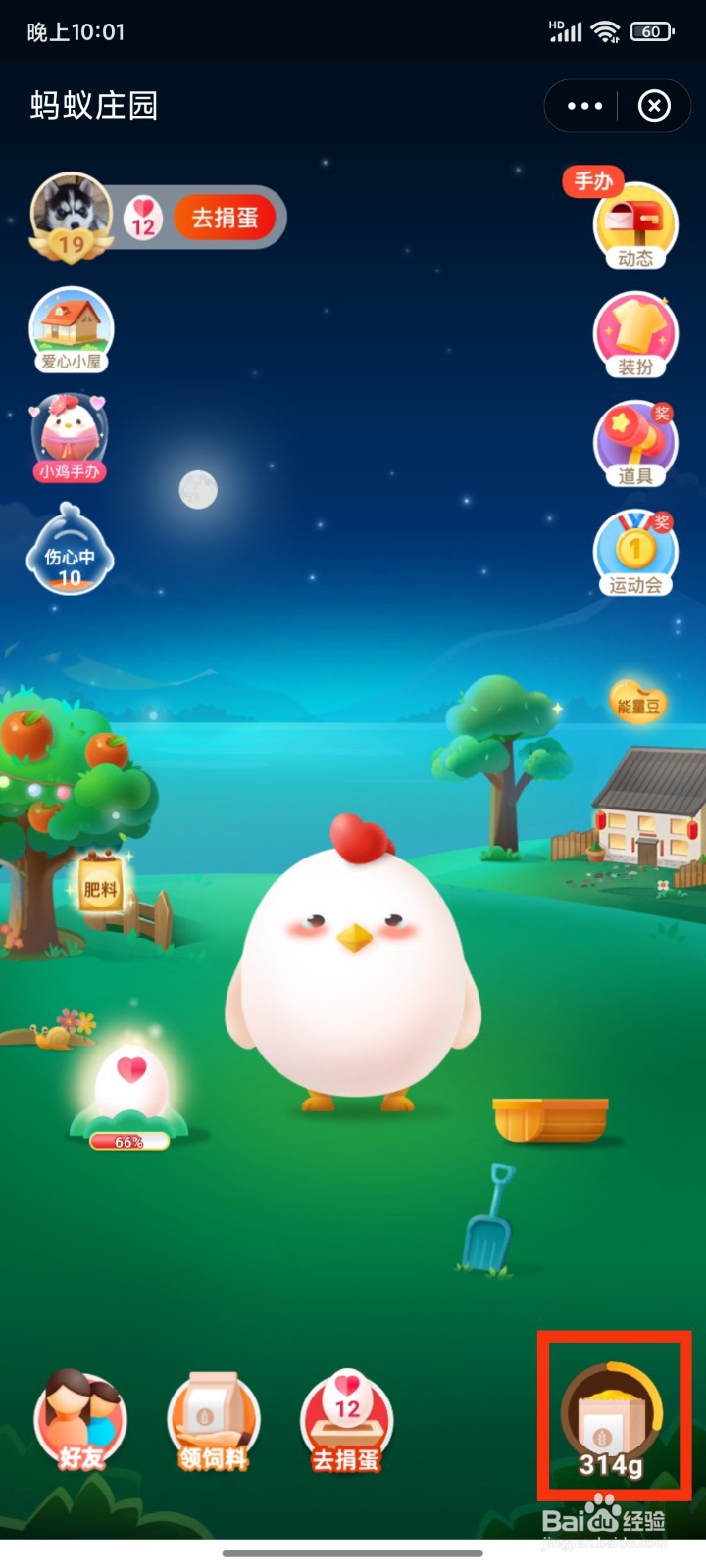 如何在支付宝中喂小鸡