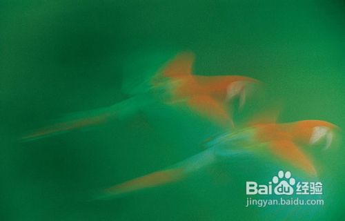 好照片的拍摄技法：色彩篇