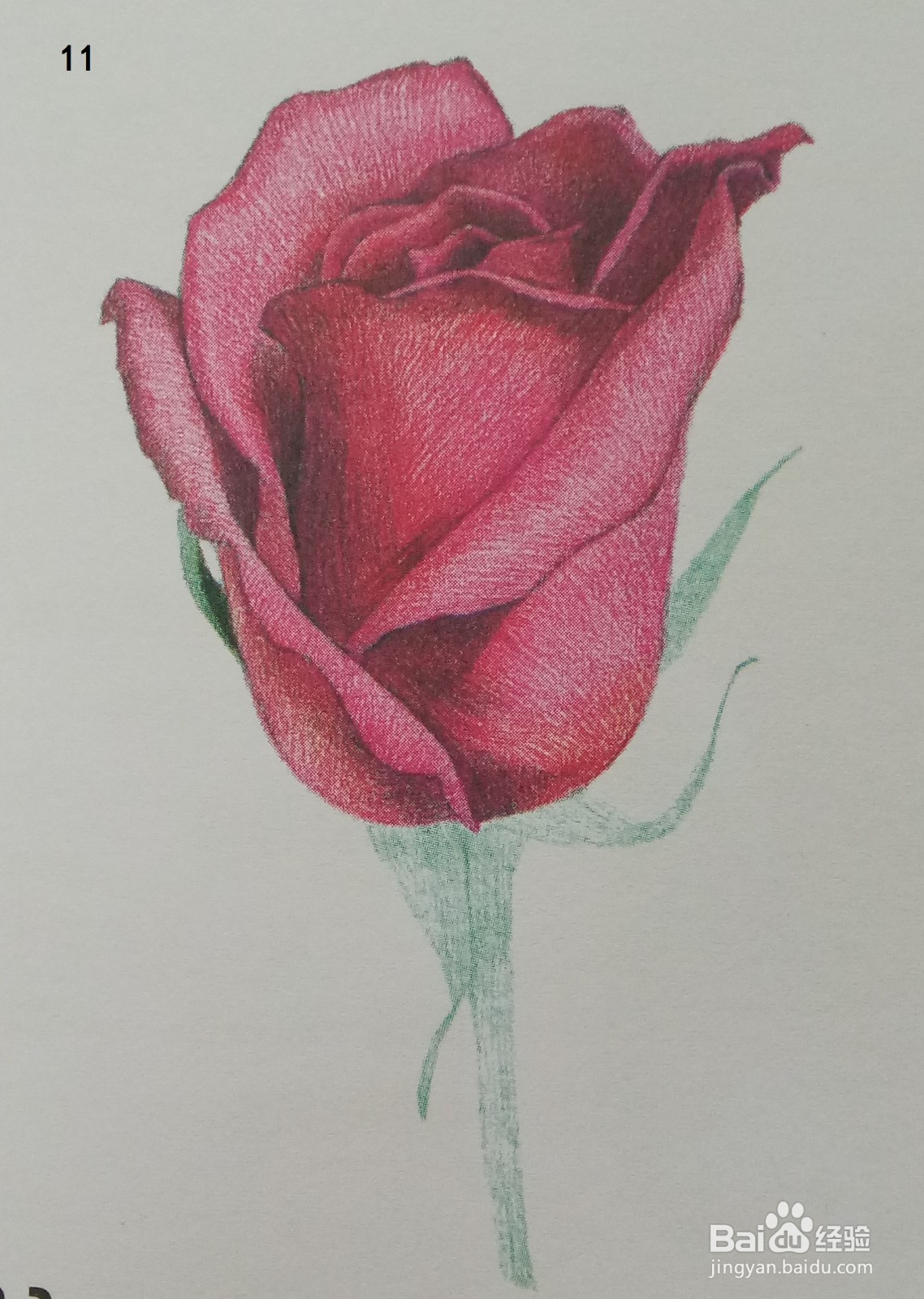 色铅笔画一朵红玫瑰(素描进阶)