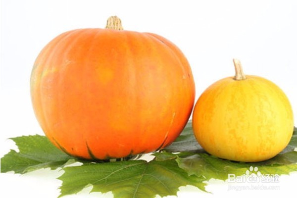 吃什么东西养胃