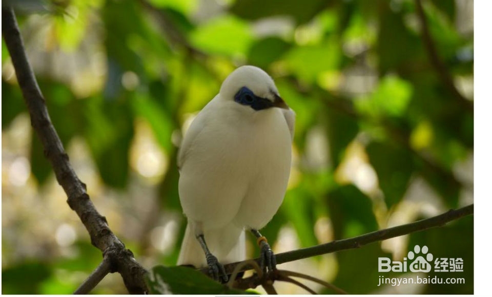 老是失眠，怎么办？