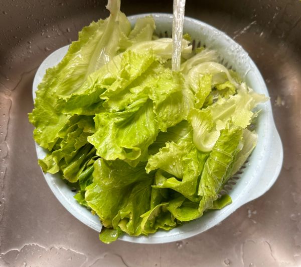 家常菜蚝油生菜