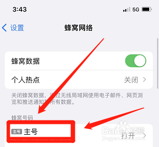 苹果低数据模式