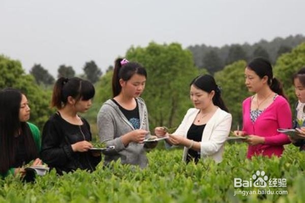 农大的学生就业方向有哪些?