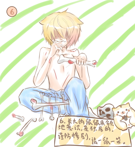 仓鼠饲养基础手册