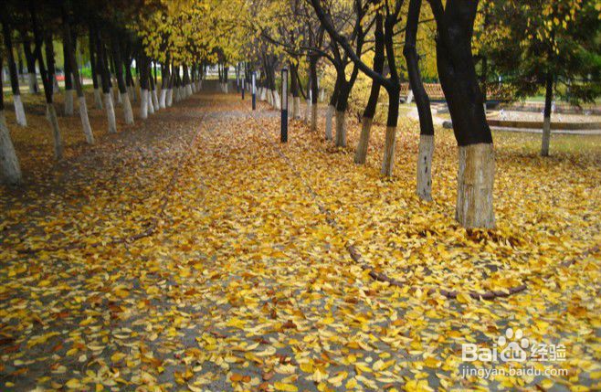 2021年长春理工大学成人高考报名条件