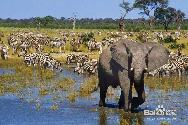 怎样的国家是好玩又不贵的？