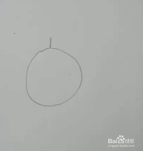 橘子的创意简笔画