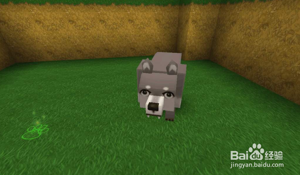 迷你世界测试服怎么获得属于自己的账号