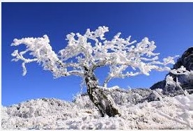 怎样确定你坠入了爱河