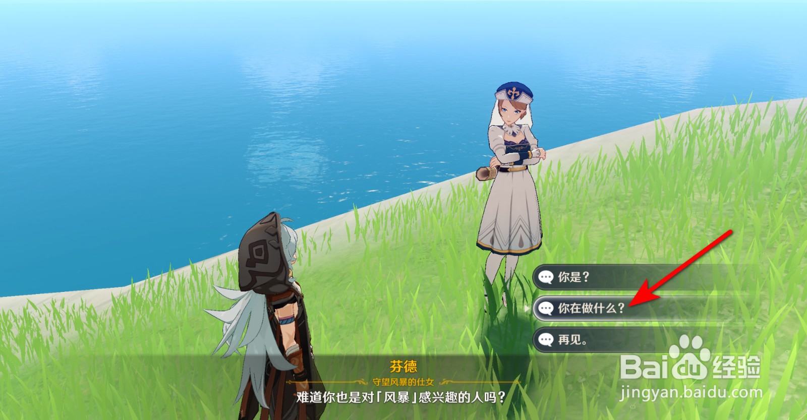 原神风神杂烩菜怎么获得