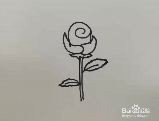 简笔画的玫瑰怎么画