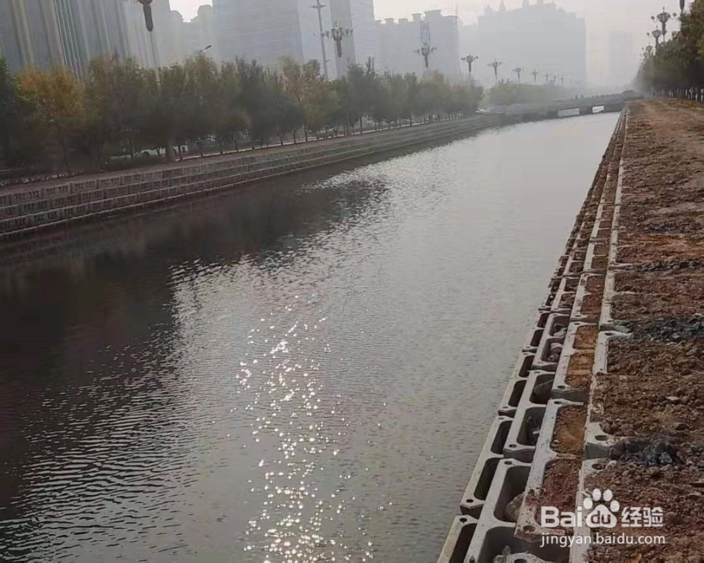 河道生态护坡 平铺护坡用湖北中力通新材