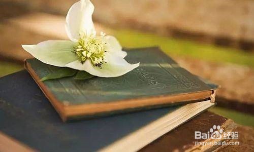 性格好说话容易妥协怎么办