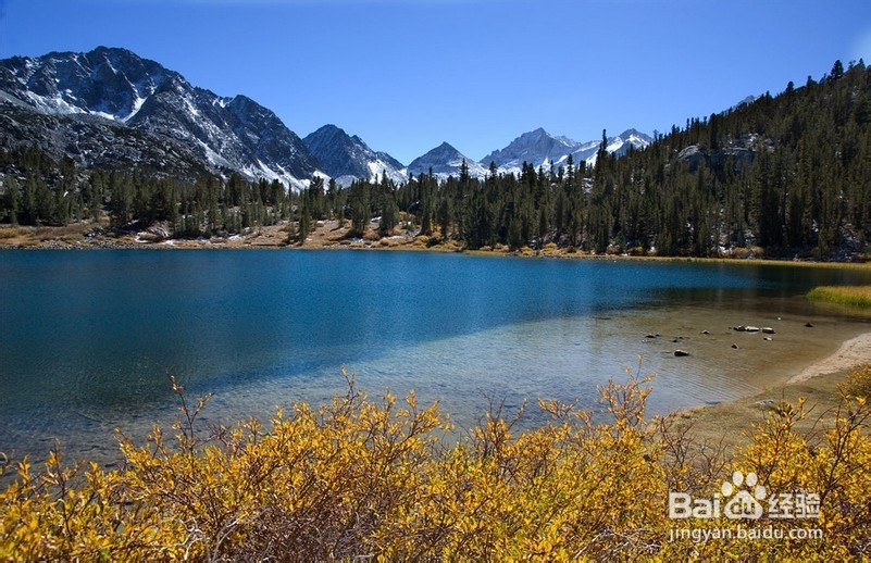 国际游学之冬日里的加州梦想