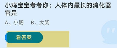 人体内最长的消化器官是蚂蚁庄园8.18