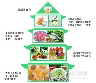 减肥计划第一章