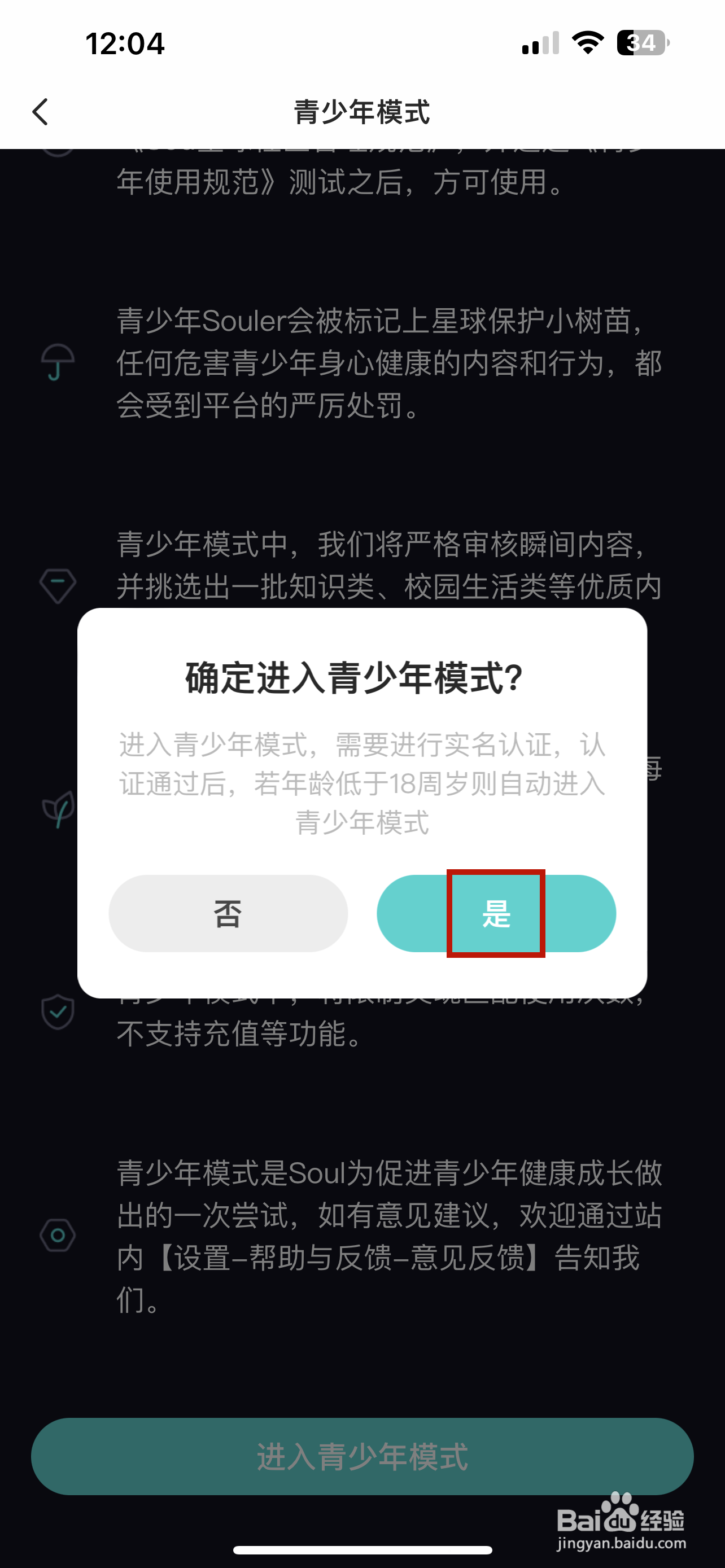 soul怎样进入青少年模式