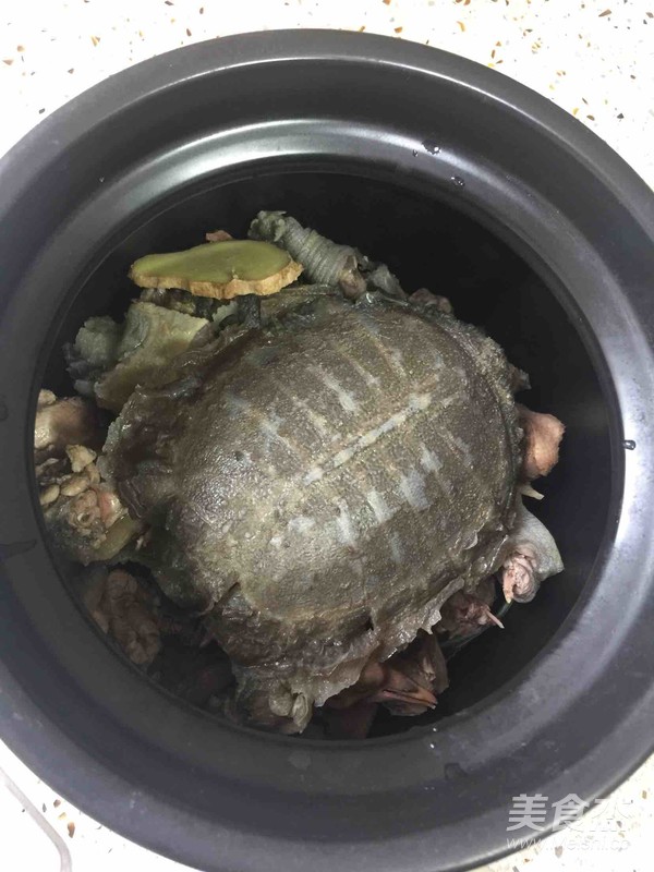 甲鱼鸽子汤的做法