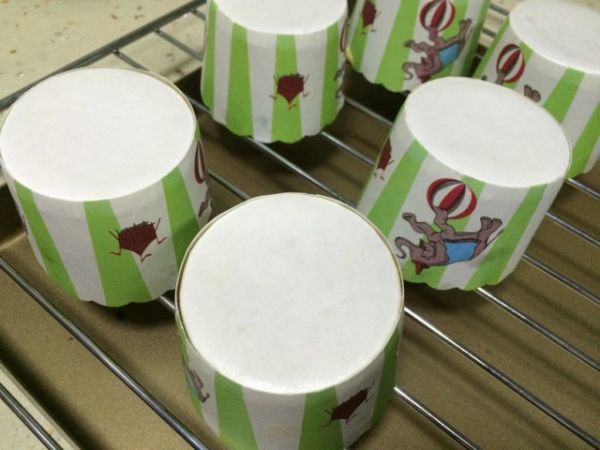 巧克力豆戚风纸杯蛋糕