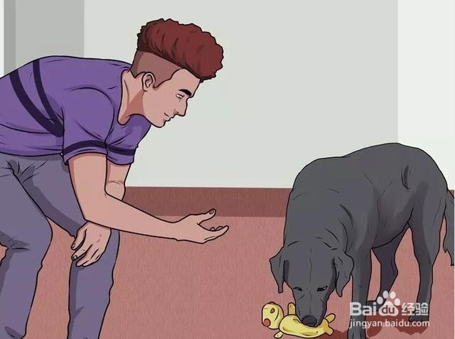 如何防止被疯狗追,以及应对措施