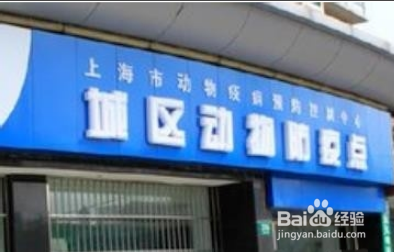 飞机托运宠物需要什么手续