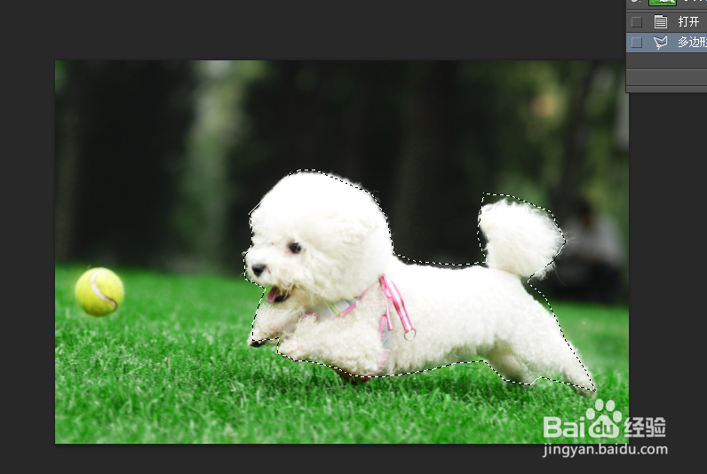 ps多边形套索工具怎么用