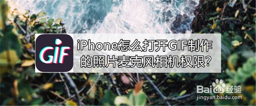 <b>iPhone怎么打开GIF制作的照片麦克风相机权限</b>