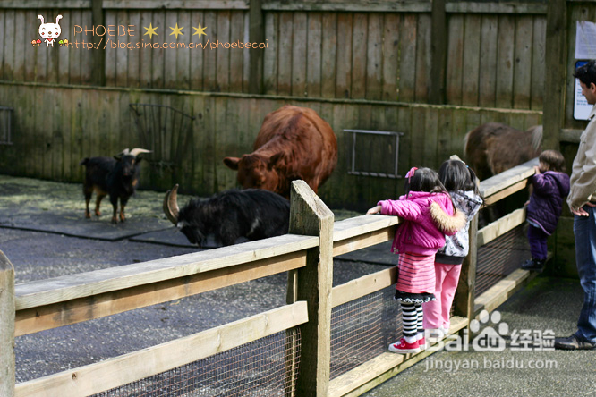 拾海的孩子&亲亲小动物(组图)