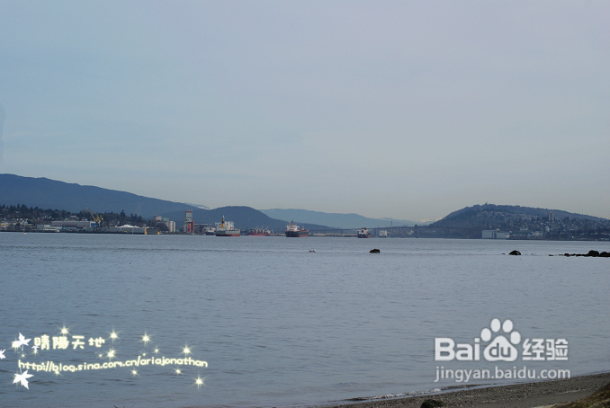 拾海的孩子&亲亲小动物(组图)