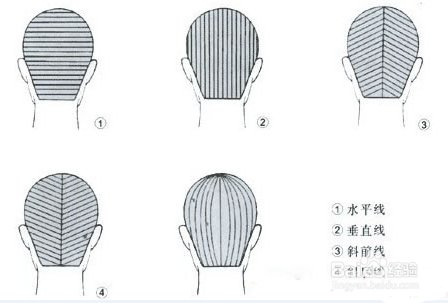 美发头部十五个点图图片