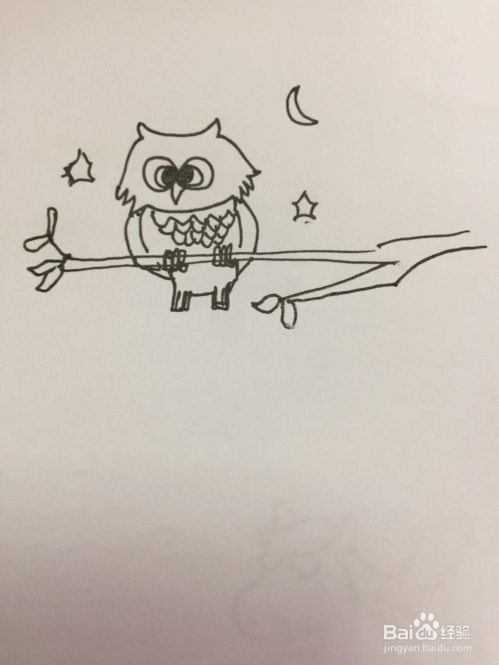 猫头鹰的简单画法