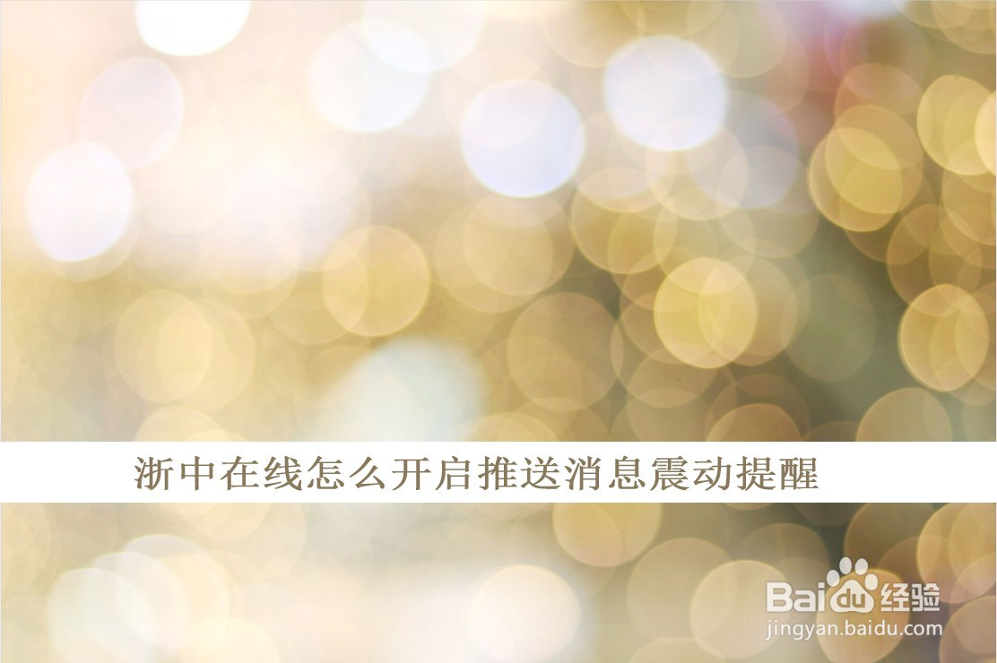 浙中在线怎么开启推送消息震动提醒