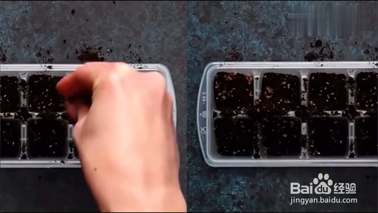 怎样正确使用冰格